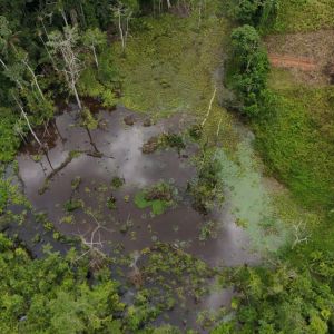 dji 20240715121649 d