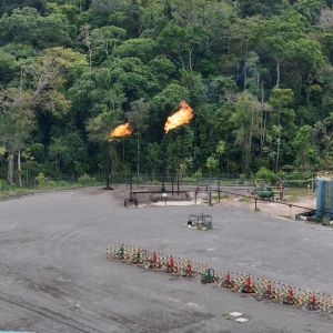 dji 20240715121942 d