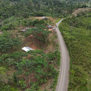 dji 20240715122012 d