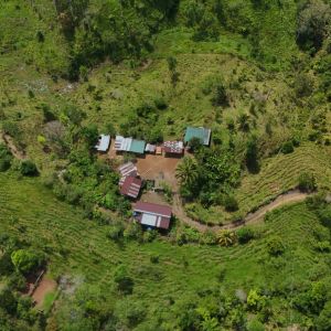 dji 20240715110814 d