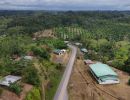 dji 20240715111039 d